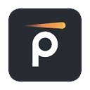 Pynt logo