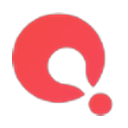 QiDZ Holding logo