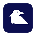 Raven Risk AI logo