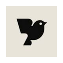 Robin AI logo