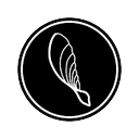 Samara Aerospace logo