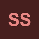 Sansa Security logo