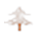 SequoiaDB logo