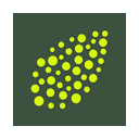 Shiru logo
