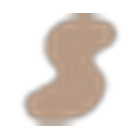 Skims logo