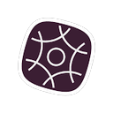 Smartrr logo
