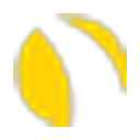 SolarBridge Technologies logo
