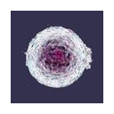Solu Therapeutics logo
