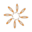 Spring Global logo