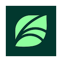Spring Health logo