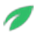 Sprout Wellness Solutions logo