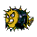 SSH logo
