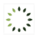 Taranis logo
