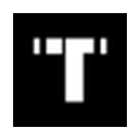 Tempus AI logo