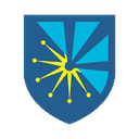 The Data Guild logo