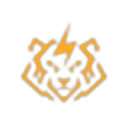 Tiger New Energy logo
