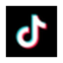 TikTok Shop API logo