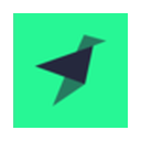 Tinybird logo