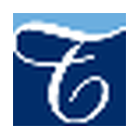 TransPerfect logo