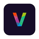 Visual Layer logo