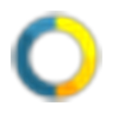 Vivid Vision logo