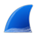 Wireshark logo