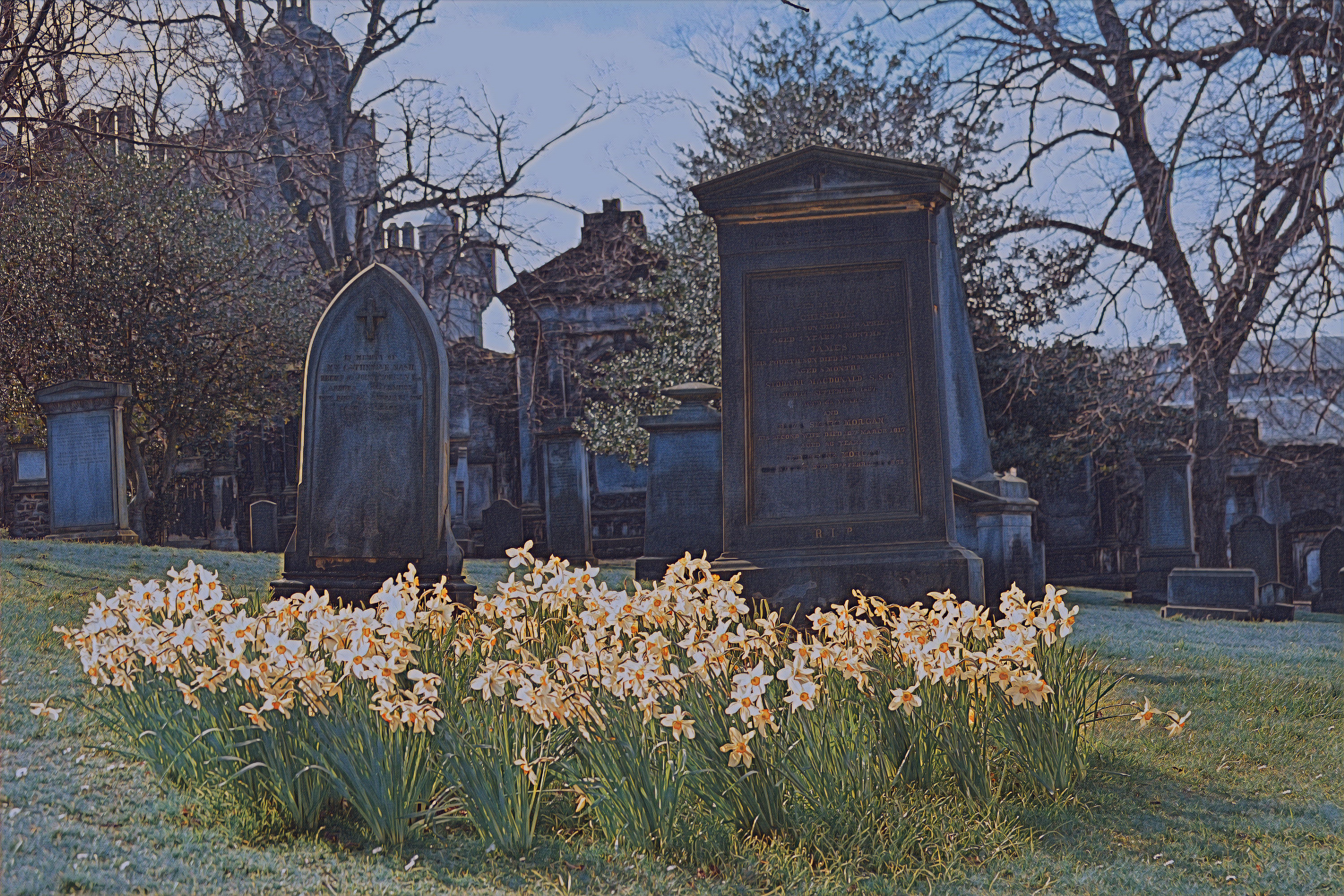 A Social (Media) Death
