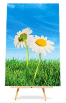 Mimeo Connect Poster Printing API