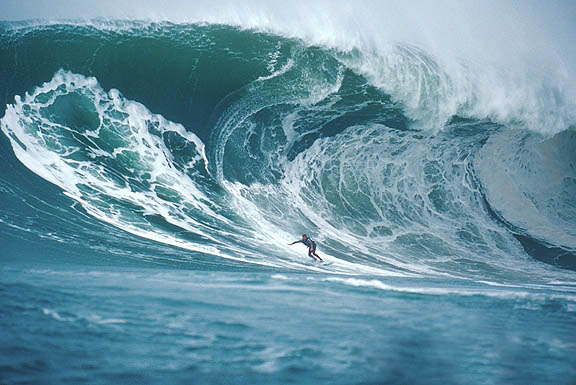 Riding the Waves of Change